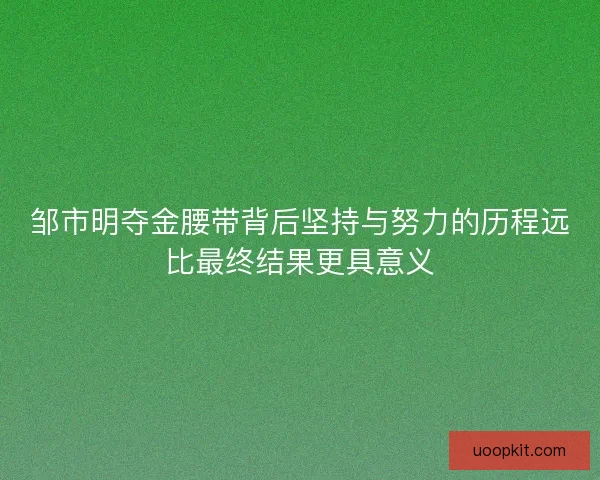 邹市明夺金腰带背后坚持与努力的历程远比最终结果更具意义